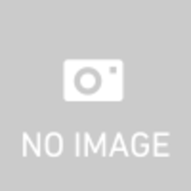 アメリカン・ピットブルテリア 商品１