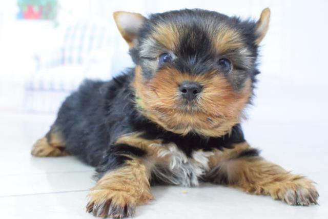 画像タイトル３